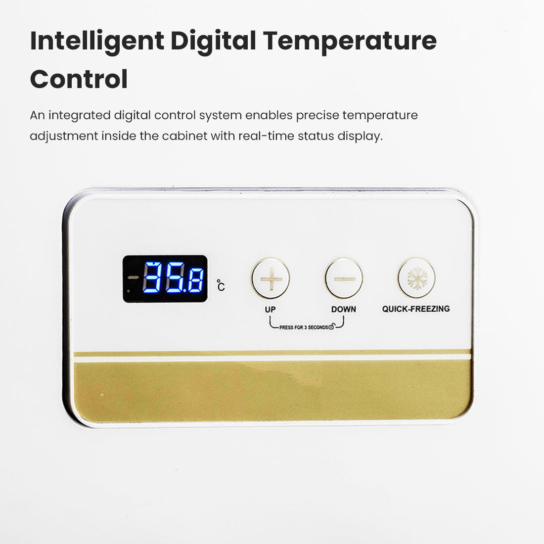 Thermaster 600L Chest Freezer with Stainless Steel Lid - BD600F