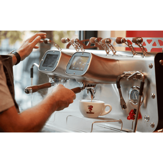 Bezzera VICTORIA Black 2-Group Professional Espresso Machine - BZVICTORIA2B